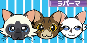 にほんブログ村 猫ブログ ラパーマへ