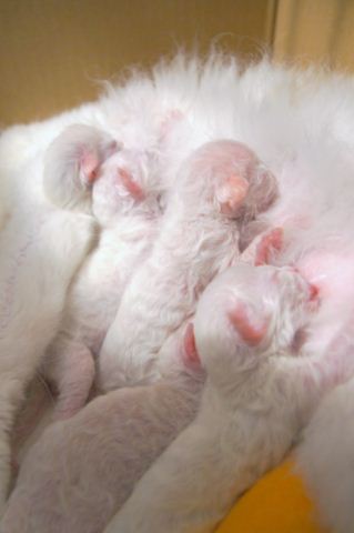 a550_20110816020023_retouch_resize.jpg