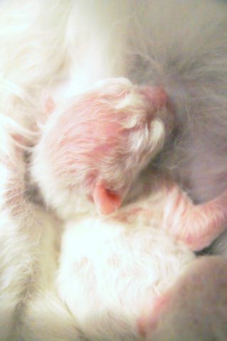 a550_20110817020015_retouch_resize.jpg