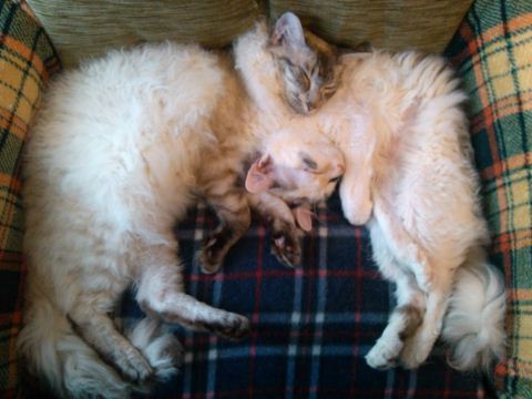 IMG_20120318_132744_resize.jpg