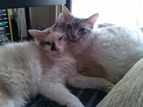 IMG_20120325_145543_resize.jpg