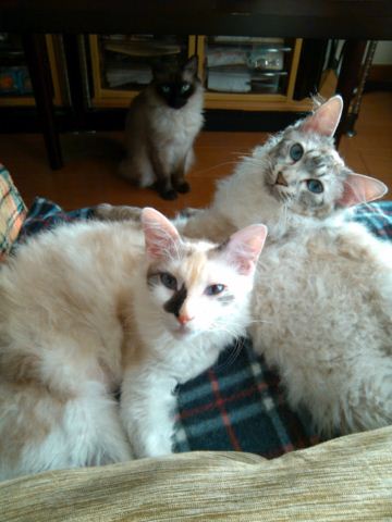 IMG_20120325_171329_resize.jpg