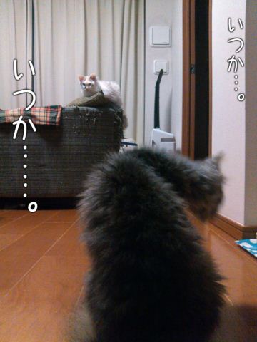 IMG_20120402_213623_dialog_resize.jpg