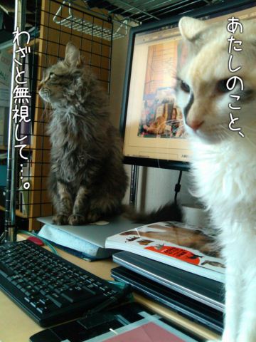 IMG_20120408_084439_dialog_resize.jpg