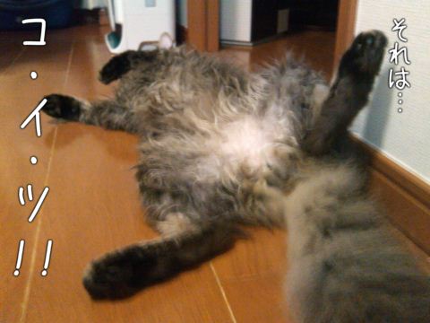 IMG_20120420_233309_dialog_resize.jpg