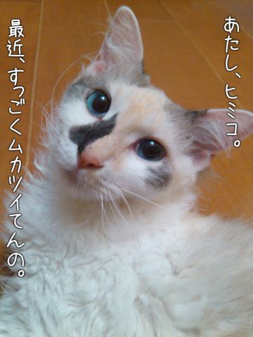IMG_20120420_235053_retouch_dialog_resize.jpg